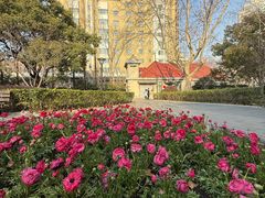 -徐家汇源景区-衡山公园