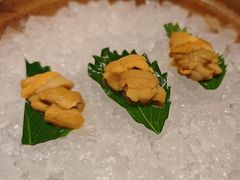 -月龍吟(朝龙汇店)