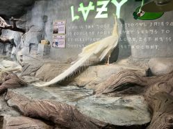 -Zoolung Zoolung动物主题公园(海信广场店)