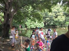 -成都市活水公园