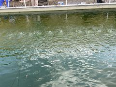 -DGE季风钓虾营地·团建·聚会