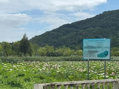 -南北湖风景区