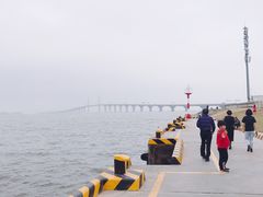 -港珠澳大桥码头