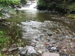 -云岫谷游猎自然风景区