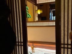 -揽季锅物会.福建黄鱼.海鲜姿造(五四路店)