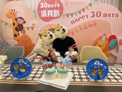 -盈月阁母婴护理中心·月子中心·月嫂育儿嫂