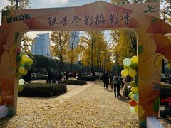 -两江幸福广场