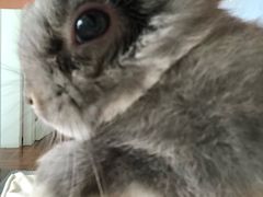 -爱诺耐芙动物医院(万博店)