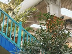 -南宫五洲植物乐园