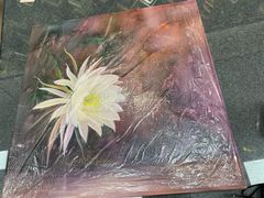 -宸宸画框裱画配框工厂店(莘庄店)