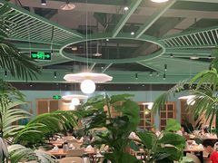 大堂-春润大地海南椰子鸡(沙井京基百纳广场店)