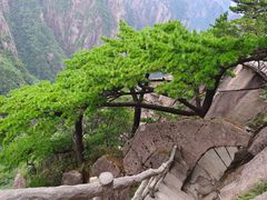-黄山风景区