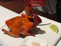 -侨美食家·41年地道粤菜(珠江新城店)