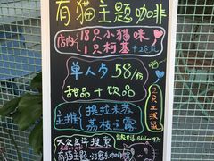 -有猫主题·治愈系猫咖(曾厝垵店)