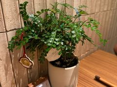 -CURRY YA 熟成咖哩專門店(深圳湾万象城店)