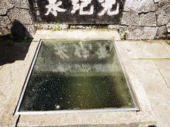 -虎跑公园