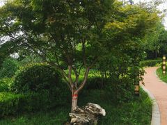 -长安文化生态公园