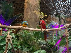 -杭州开元森泊度假乐园