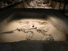 -洛阳周王城天子驾六博物馆