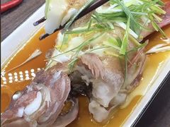 花斑鱼-盒马鲜生(金桥国际广场店)