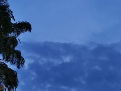 -重庆海昌加勒比海水世界