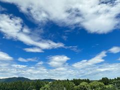 -北京西山国家森林公园