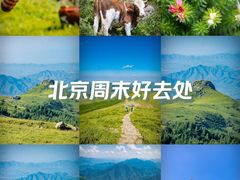 -灵山