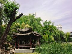 -莲湖公园