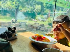 -沈阳森林动物园