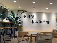 -李小姐の猫咖啡馆(五角场店)