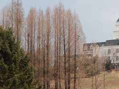 -棒棰岛宾馆景区
