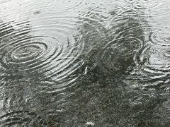 -荔湾湖公园