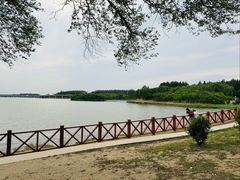 -丁香湖公园
