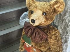 泰迪熊博物馆-济州岛泰迪熊博物馆