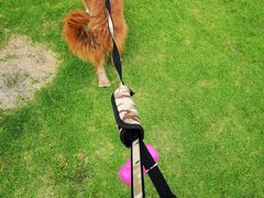 -上海月湖雕塑公园