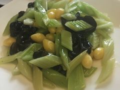 -松声马术俱乐部