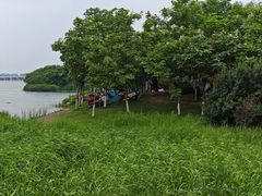 -丁香湖公园