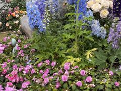 -人民公园(罗湖区)