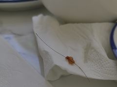 -张记荞面馆