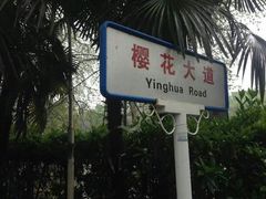 -武汉大学-樱园