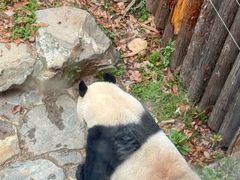 -中国茶叶博物馆(双峰馆区)