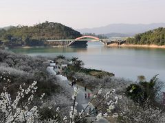 -广州市流溪河国家森林公园