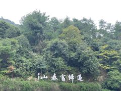 -严子陵钓台(富春江小三峡)