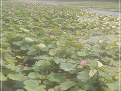 -南戴河国际娱乐中心