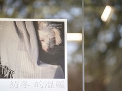 -麻雀咖啡SPARROW COFFEE(十全街店)