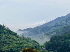 -杨家堂村
