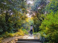 -杭州半山国家森林公园