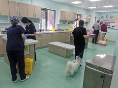 -北京观赏动物医院·24小时大型综合·猫专科·异宠专科