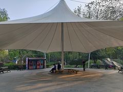 -合肥滨湖国家森林公园