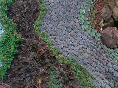 -南通洲际绿博园